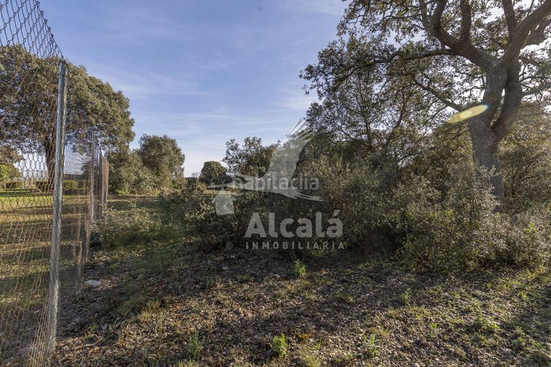 Foto 5ad55fb5-5c49-46a0-804a-b2f92afd5975. Finca rústica a Chiloeches