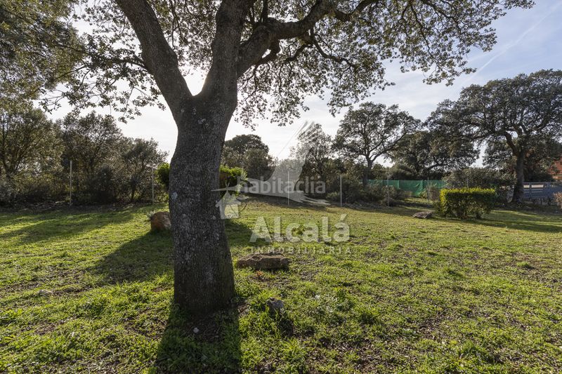 Foto a7ffce6e-5c2d-4298-ba39-496f08ec9aaf. Finca rústica a Chiloeches