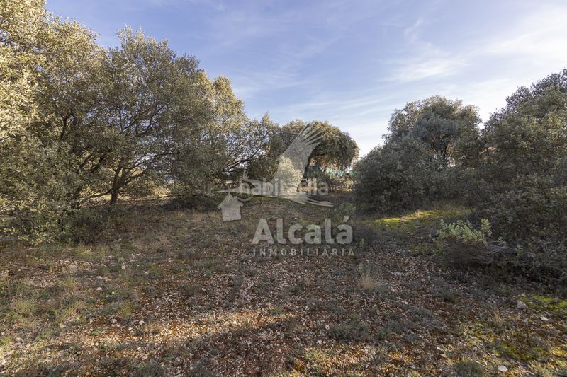 Foto a8016fb7-09c6-40ba-8769-41e3b41b7bb9. Finca rústica a Chiloeches