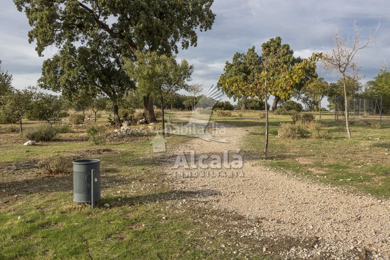 Foto ae850024-5c48-4801-b257-779d3ddd1309. Finca rústica a Chiloeches