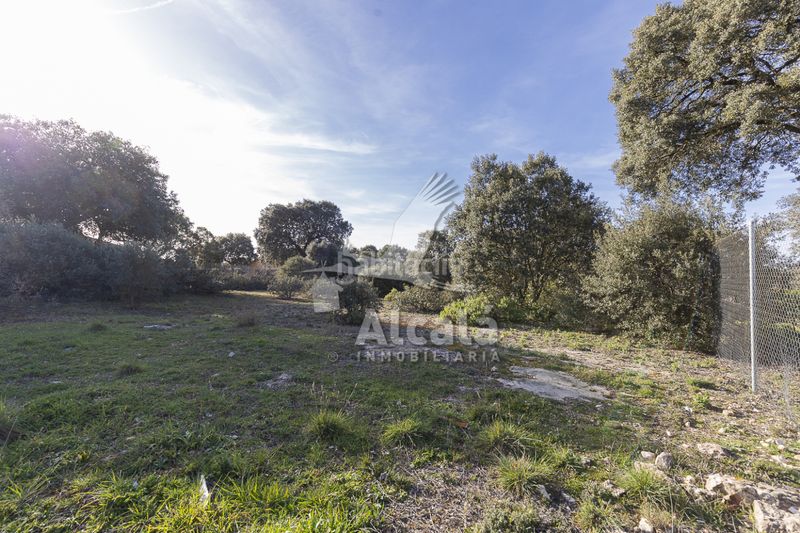 Foto af7c3e88-fb85-4d54-91c4-88d5c277ccce. Finca rústica a Chiloeches