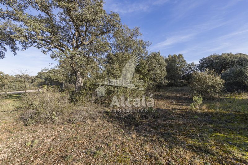 Foto bd6cf1e5-820e-4642-a953-090b45b61d99. Finca rústica a Chiloeches