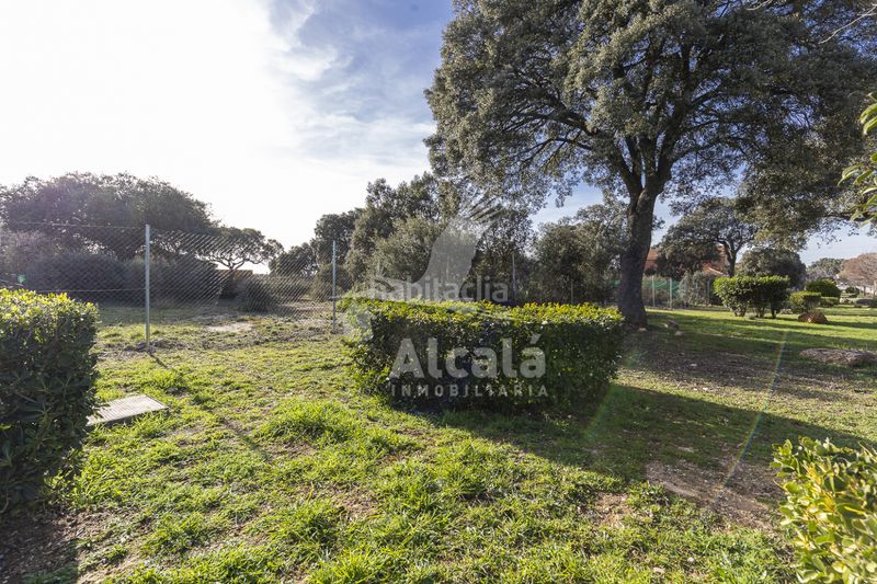 Foto cf58f52f-077f-4a66-aa31-61b2ae0e485d. Finca rústica a Chiloeches