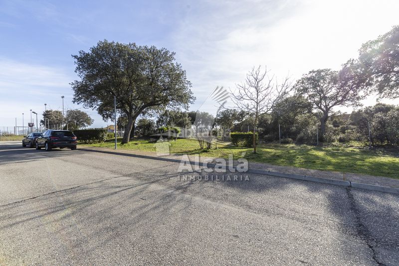 Foto d8cced5f-5a56-4eb7-b793-c2453d5e2d8a. Finca rústica a Chiloeches