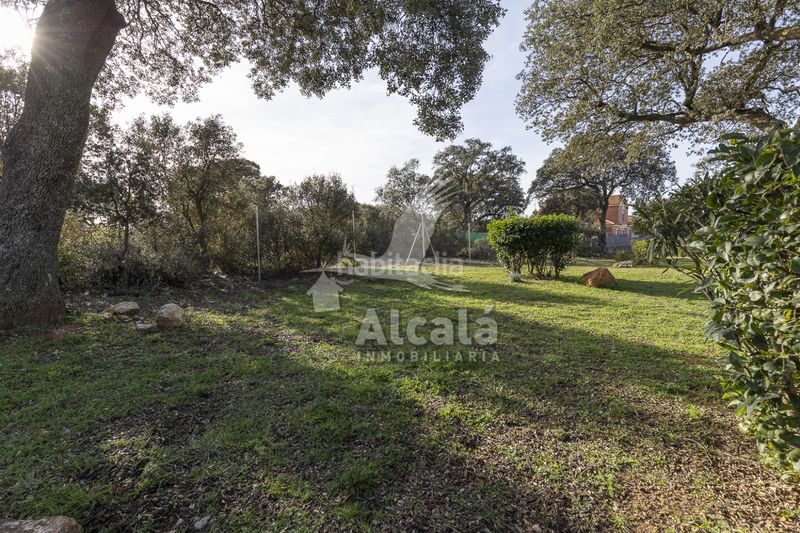 Foto da726a59-3c8a-4bdc-a305-24d29cebeb3f. Finca rústica a Chiloeches