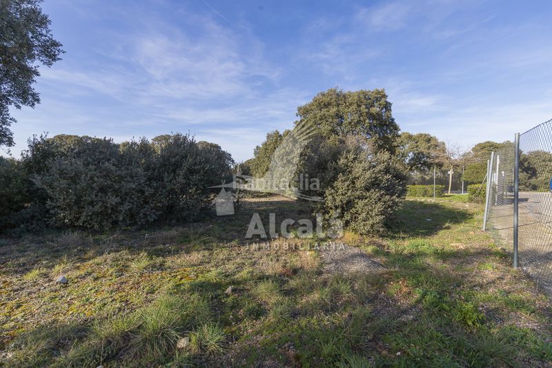 Foto e191278e-d244-4e7e-8d54-e8226ec66308. Finca rústica a Chiloeches