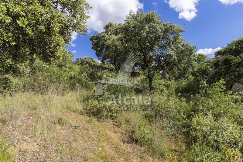 Foto a84c57e0-beec-4d9e-82b4-e88144927dfd. Finca rústica a Valdeaveruelo
