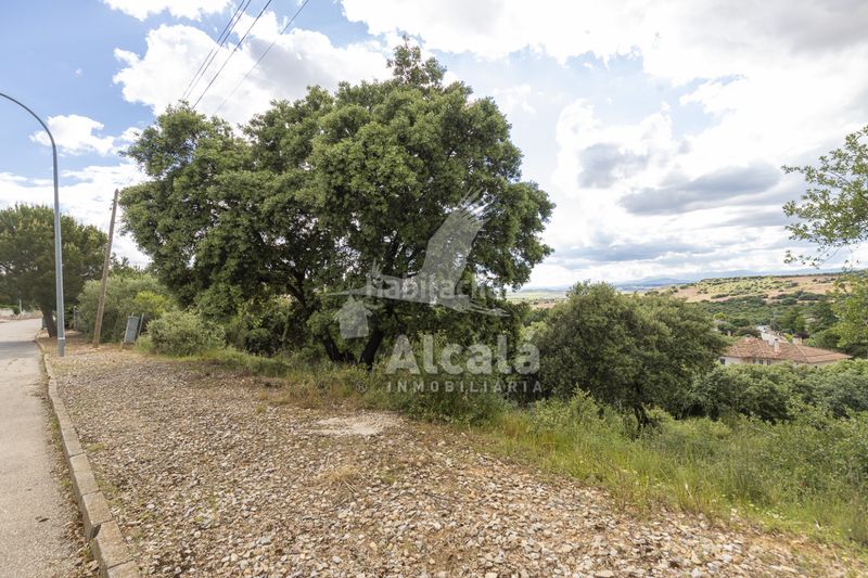 Foto b8d405c4-8f12-4560-bdca-babd4788d15c. Finca rústica a Valdeaveruelo