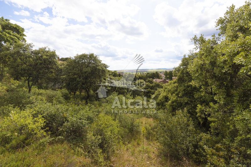 Foto c630b26b-fea9-4eea-b08e-c9e046f6d9c7. Finca rústica a Valdeaveruelo