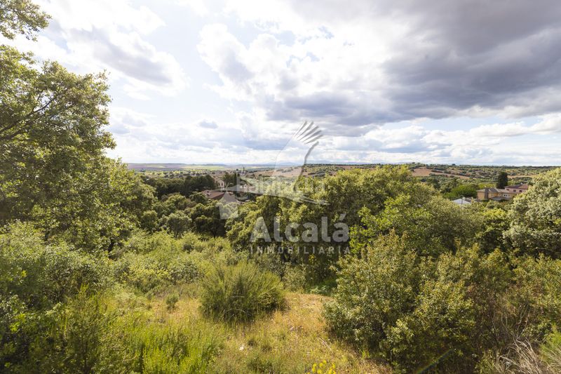 Foto d214fa9a-ee3b-4eba-9d8c-df03a2bfa2c4. Finca rústica a Valdeaveruelo
