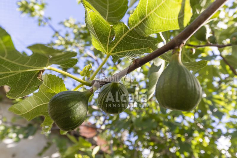Foto 5168fa38-a699-4290-a790-64d570fd253a. Finca rústica a Santorcaz