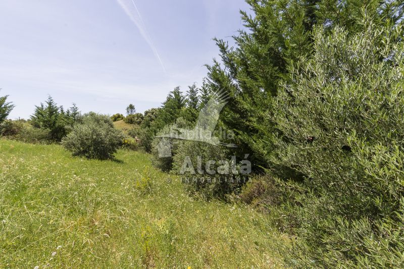 Foto 4020dafe-b0ce-40fa-960c-d3a3a1e593f2. Finca rústica a Ambite