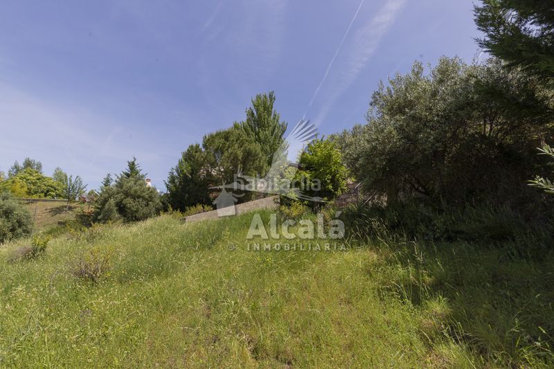 Foto 95f85e7a-b61d-42e2-ae1e-c8b9bc632d49. Finca rústica a Ambite