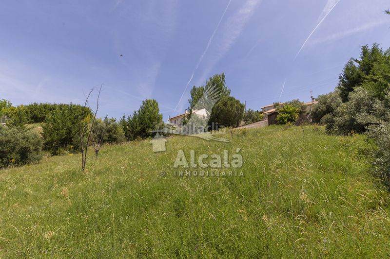 Foto d1b3eb62-e99a-4e3c-8a98-701f2dc7cca9. Finca rústica a Ambite