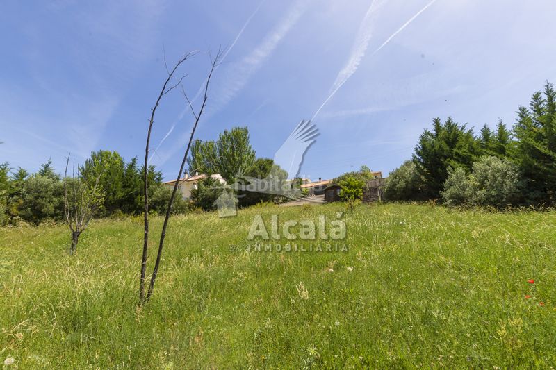 Foto d99131ab-f9a2-45fd-b259-6ea5b9717b43. Finca rústica a Ambite