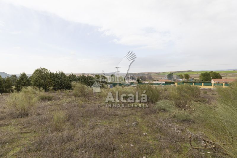 Foto 027ae5d2-d0f8-41ce-8c0d-4b54eac31341. Finca rústica a Illana