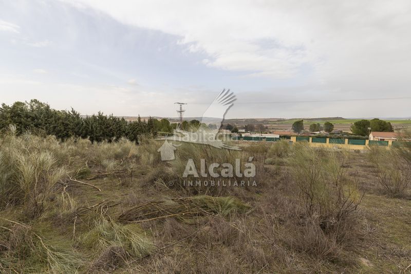 Foto 0f58520d-eab5-44c8-aa6d-65d01f84eca8. Finca rústica a Illana