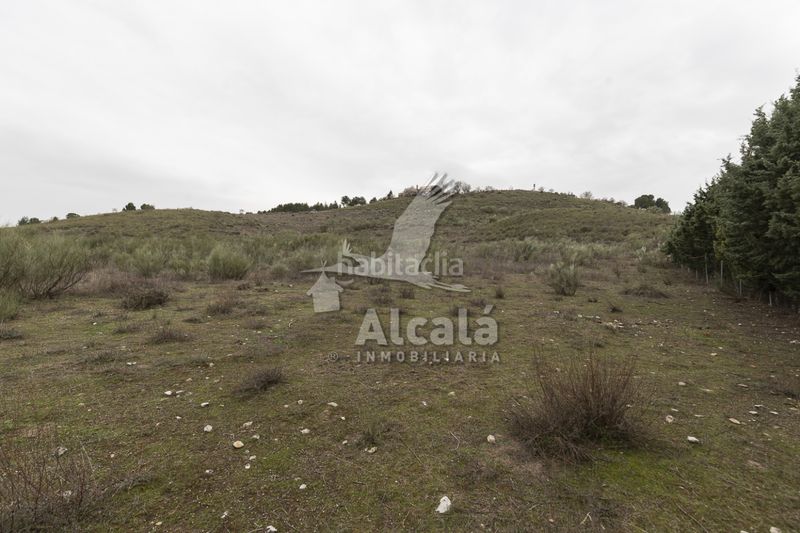 Foto 38798b8a-7643-49a0-a512-2abce4709fd9. Finca rústica a Illana