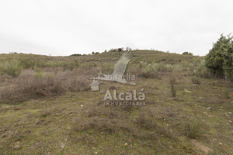 Foto 51849b22-2931-4d2f-92ed-319362413575. Finca rústica a Illana