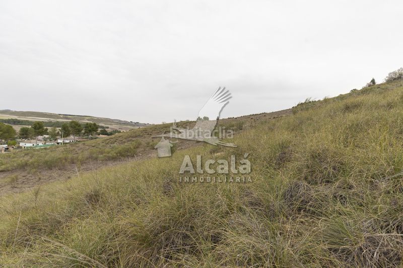 Foto 5a78bee1-18ca-44df-a328-edbf4db5f30b. Finca rústica a Illana