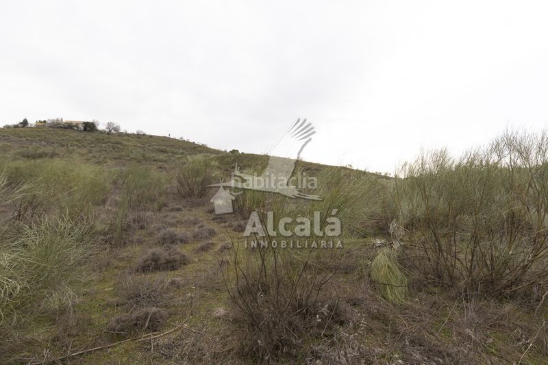 Foto 5c1f5401-af49-48f9-ba8c-2c93cf2eb33b. Finca rústica a Illana