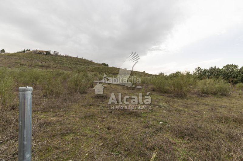 Foto 6d3f1f6f-1c89-4665-be7a-c59cc68aa3d8. Finca rústica a Illana