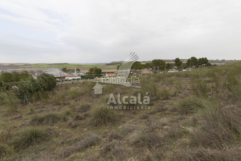Foto 7c5b34ba-22e1-47fa-a7d6-9018992e9e4b. Finca rústica a Illana
