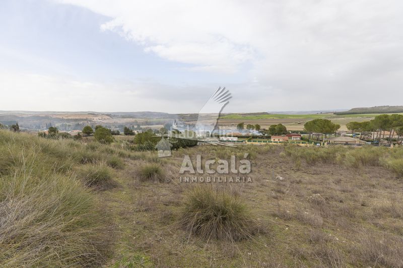 Foto 91234cd0-f001-4072-b3a6-fdaa1a773775. Finca rústica a Illana