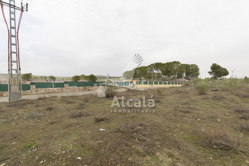 Foto b1ae48e0-0edf-4577-90ea-e708d6074c88. Finca rústica a Illana