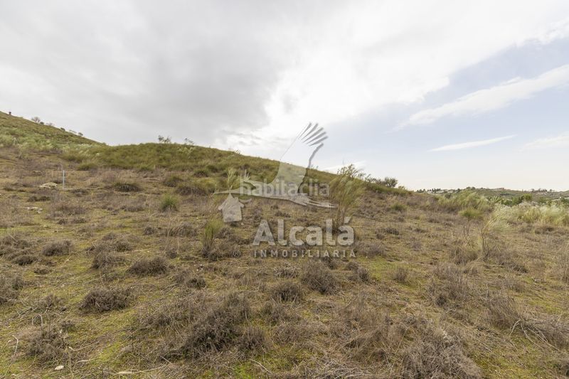 Foto bd5ee4bd-a5b7-47f9-914e-641647453400. Finca rústica a Illana