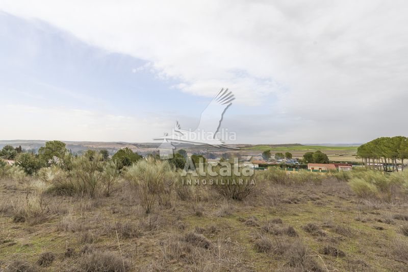 Foto bf3b7dc2-f9e5-4469-a3a1-cf7f6623b099. Finca rústica a Illana