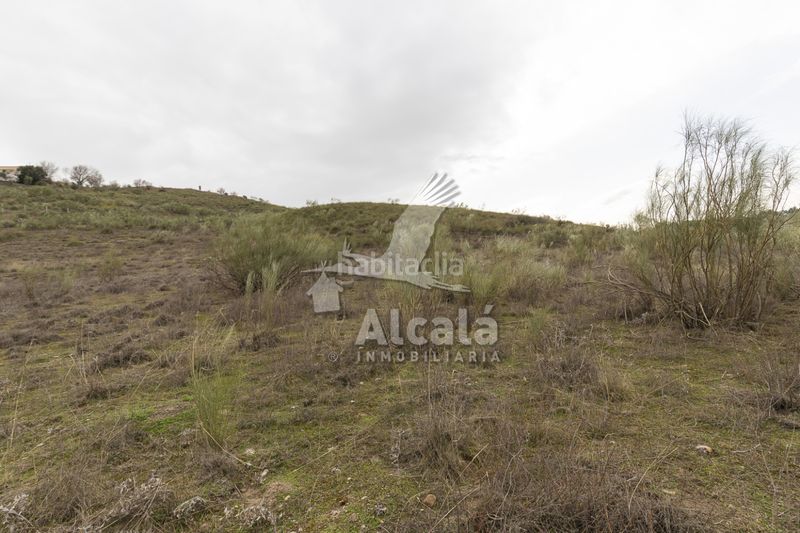 Foto c1dd4985-d52d-429e-ac6d-e7115c25aade. Finca rústica a Illana