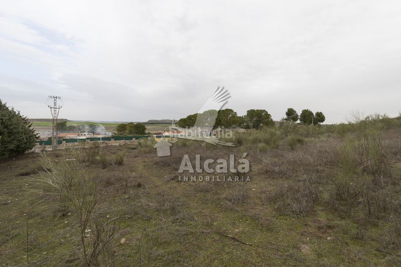 Foto d731d253-82c6-4a44-b514-126a4511c842. Finca rústica a Illana