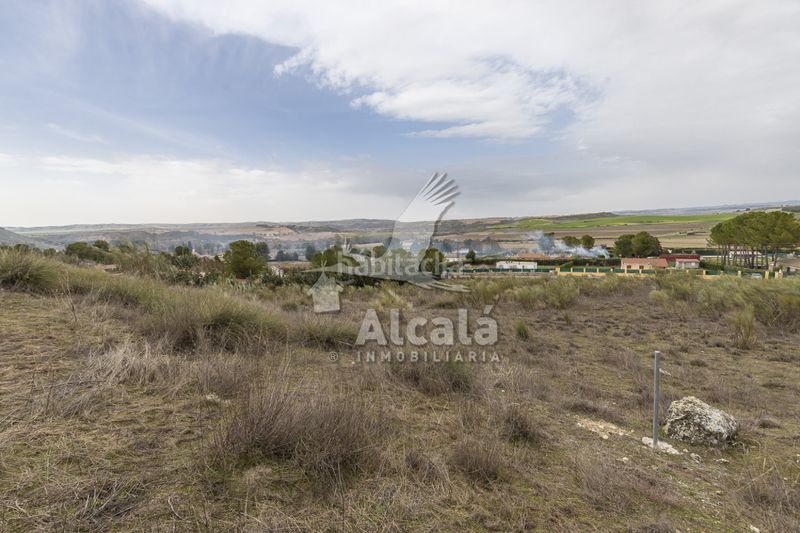 Foto d7ad0e87-cd2e-4209-9220-26f44f785fcb. Finca rústica a Illana