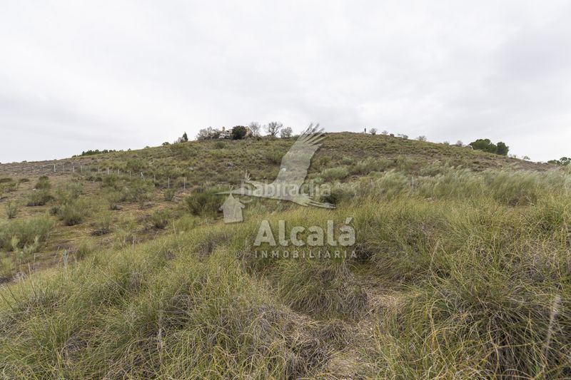 Foto d92207c2-23da-44b1-9c3d-351cc6662100. Finca rústica a Illana