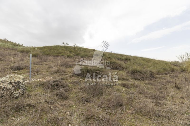 Foto d92e610e-f14e-4674-b5be-9547c7c56511. Finca rústica a Illana