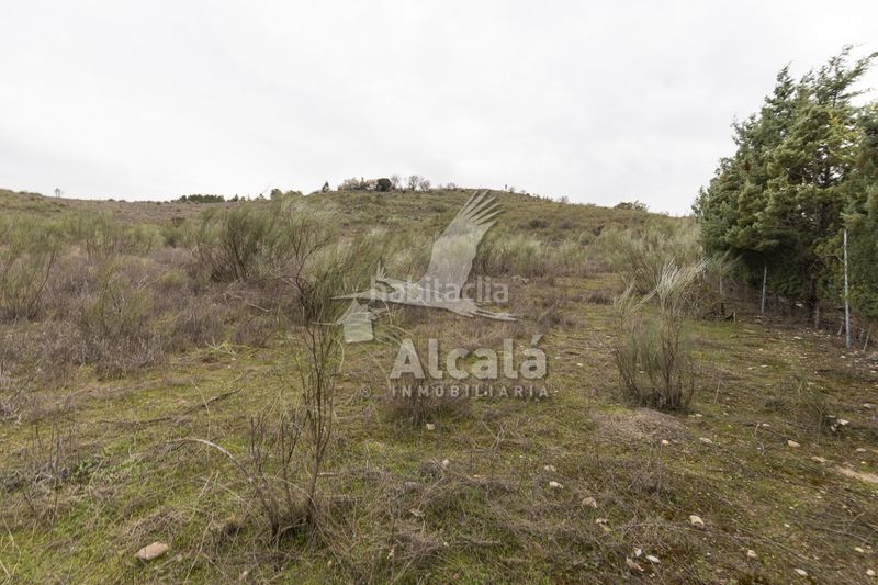 Foto e773988d-d7bd-4c3e-9fc7-15d6cf4a4545. Finca rústica a Illana