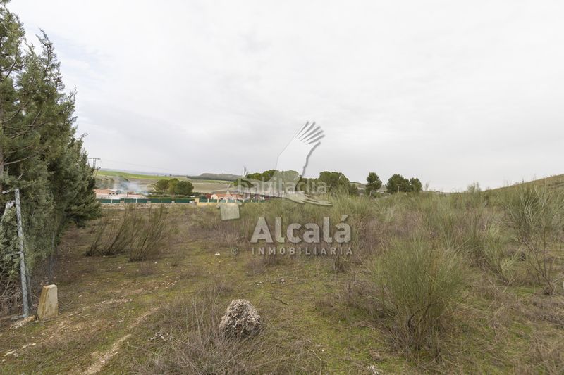 Foto fb2a64f6-ee3b-454d-b299-7bc0f361903d. Finca rústica a Illana
