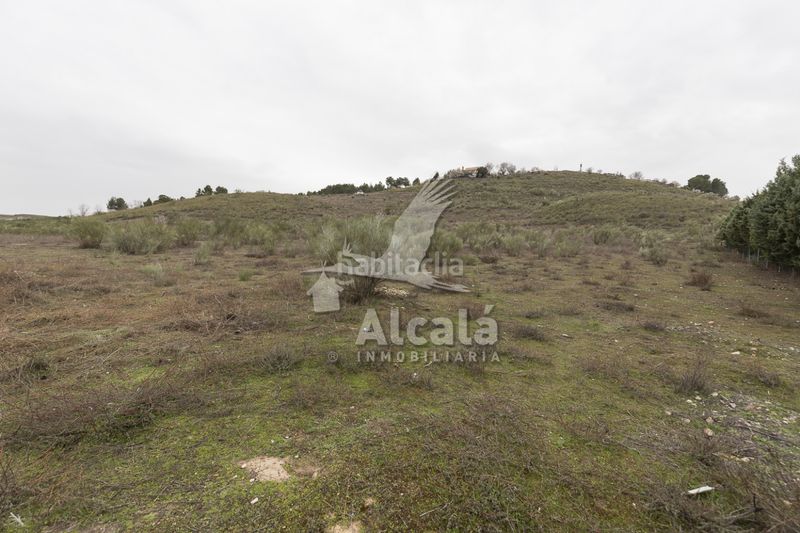 Foto fcfd3ad6-779d-4e7d-a9e7-6adcf495e3ba. Finca rústica a Illana