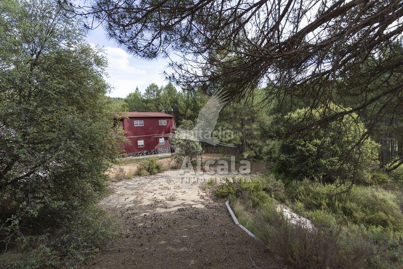 Foto 0bc3be00-fbec-4489-a4ff-d9002320f8a0. Finca rústica a Trillo