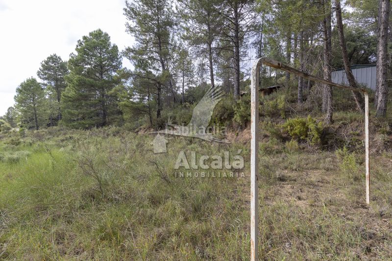 Foto 0e8d0ee7-1869-4c51-b6e5-70c5b54babbc. Finca rústica a Trillo