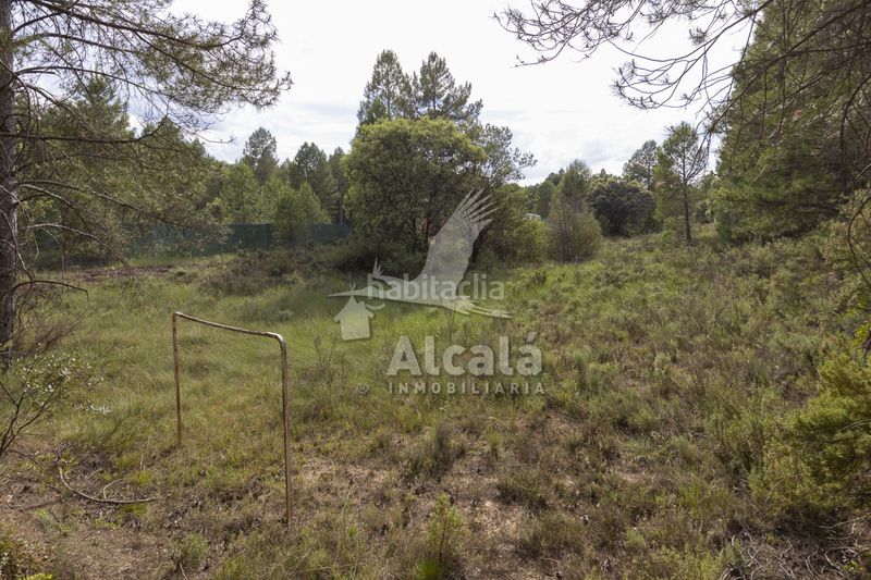 Foto 21da0b0e-ae14-4986-b061-f8af531f91d6. Finca rústica a Trillo