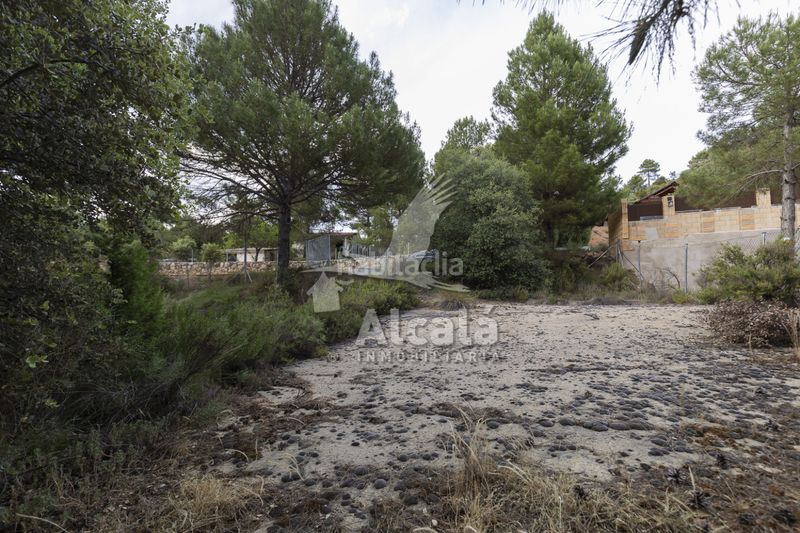 Foto 3a5bd08e-2795-495e-abff-57e19cd34412. Finca rústica a Trillo