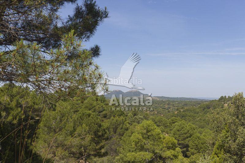 Foto 44f357d7-a54e-43e1-a498-ac3056f6e8b3. Finca rústica a Trillo