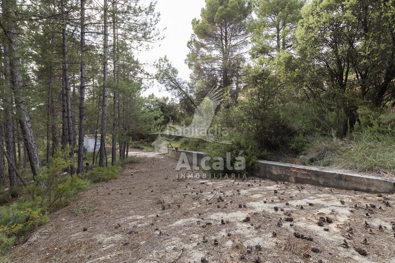 Foto 5ea8c481-980a-42d1-9c4b-1afa1d1a364a. Finca rústica a Trillo