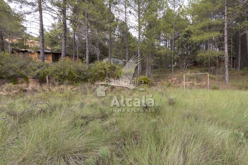 Foto a27ec5d9-ea3d-4b2c-a097-493d1bb9c148. Finca rústica a Trillo