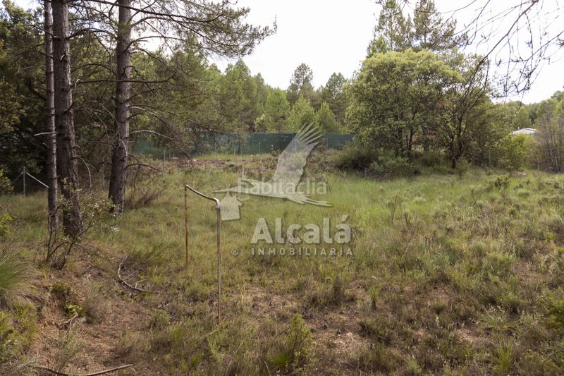 Foto b3ec900a-3457-43c4-97f8-d7f816089546. Finca rústica a Trillo
