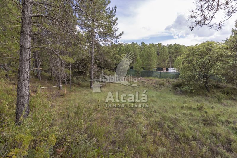 Foto c3835f5a-014b-4d1d-943d-62bd6a03c263. Finca rústica a Trillo