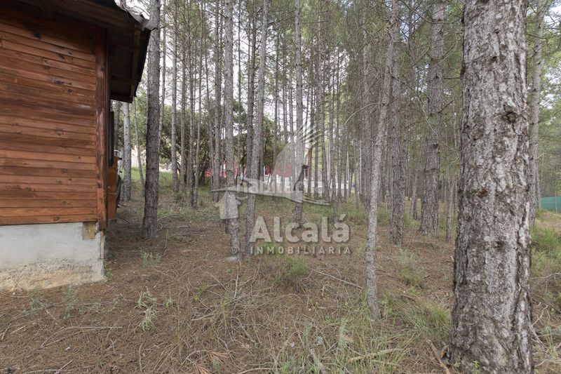 Foto d2bc4262-fa56-4016-b584-9f1d6f967cc9. Finca rústica a Trillo