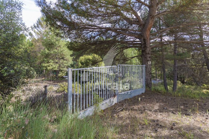 Foto d7fa98a2-29d8-45c4-bfc8-a4696bbe93ed. Finca rústica a Trillo